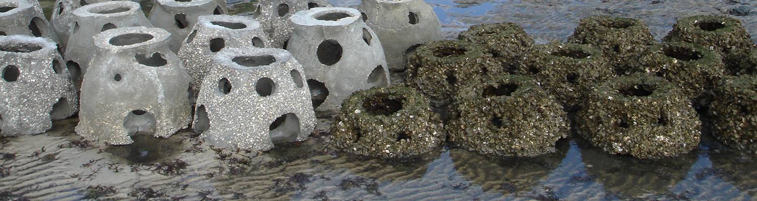 Oyster Reef Balls – Tampa Bay Watch, Inc